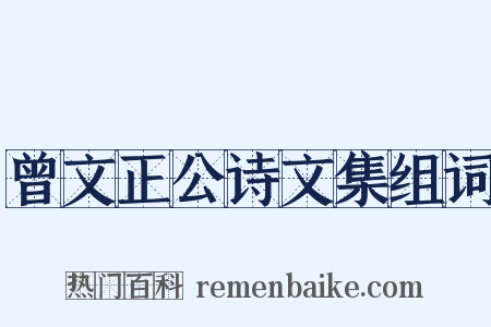 曾文正公诗文集组词是什么意思的图片
